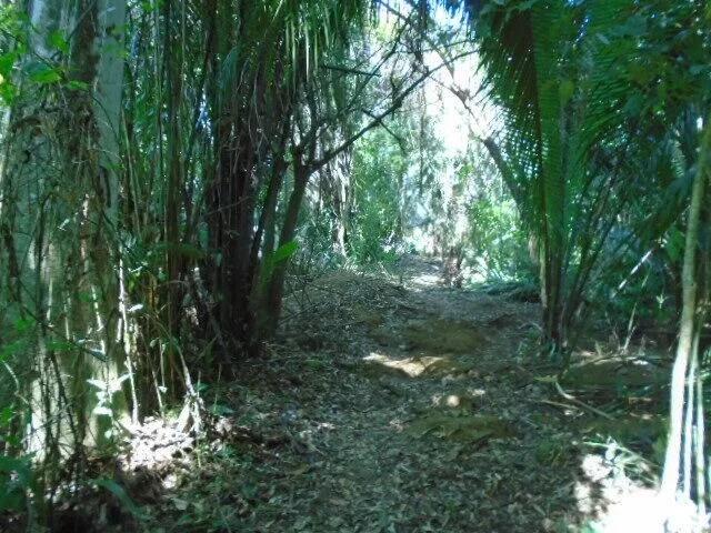 21 elevated acres of pristine forests with 300 plus meters of river frontage. - Photo 8