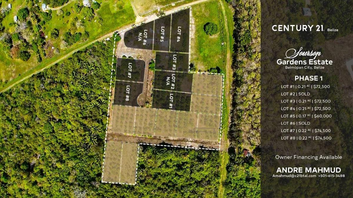 Soursop Gardens Estate – fruit bearing lots in the heart of Belmopan - Photo 3