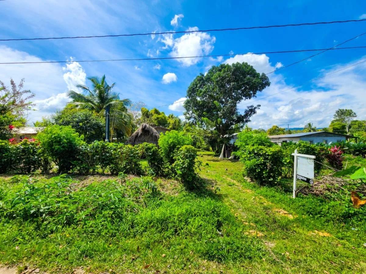 Fixer-Upper Home in Maya Mopan - Photo 3