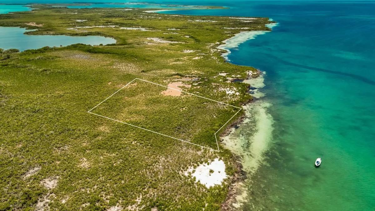 3.49 Acre Seafront Property on Hicks Caye - Photo 2