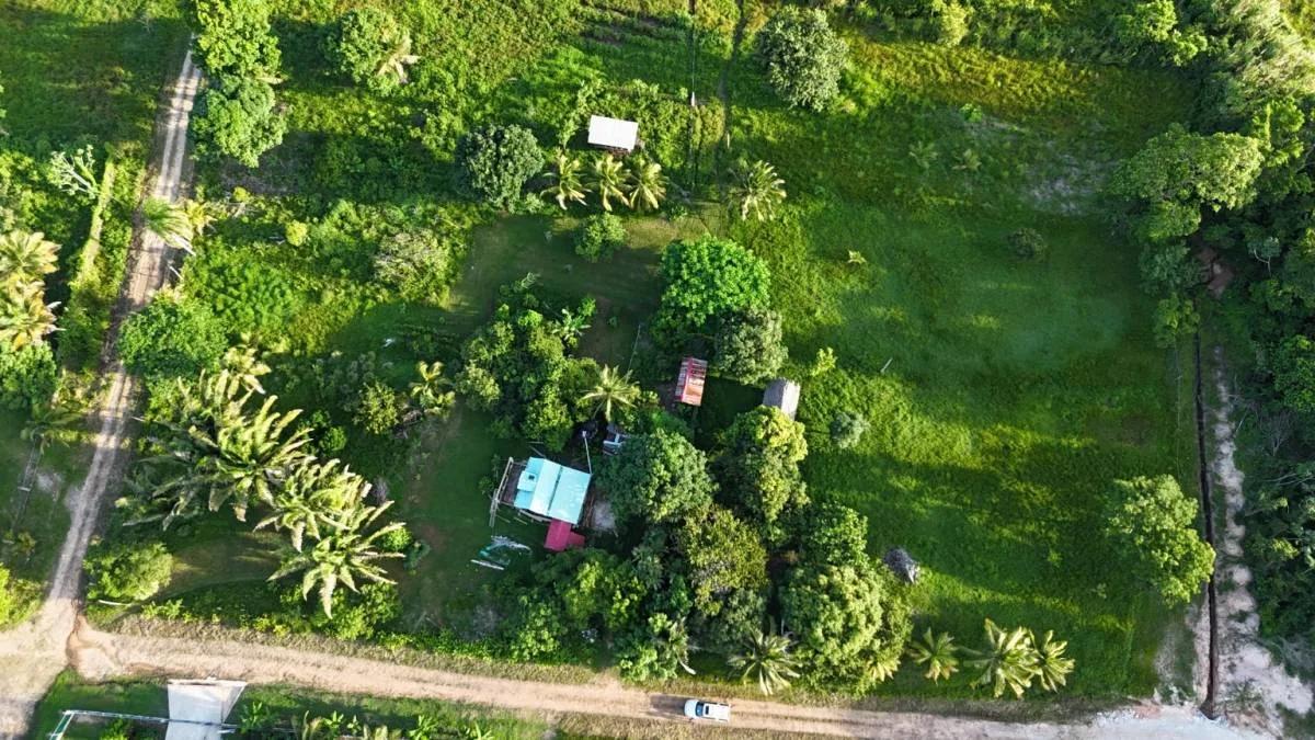 Searching for 1 acre farm near Joe Taylor Creek and Caribbean Sea (Toledo)?