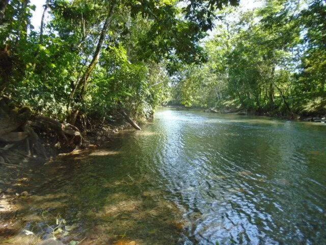 21 elevated acres of pristine forests with 300 plus meters of river frontage.