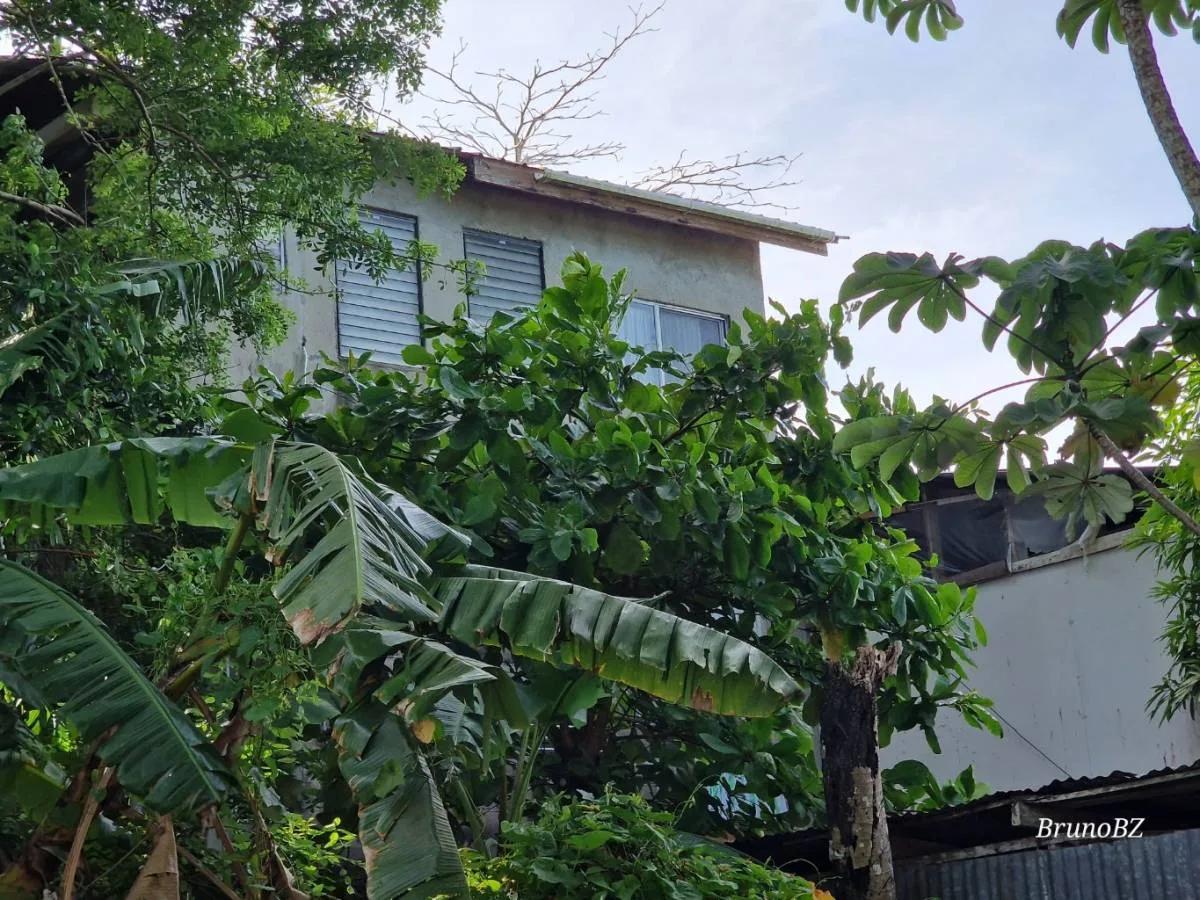 Thinking of investing in a Guesthouse in Toledo? - Photo 8