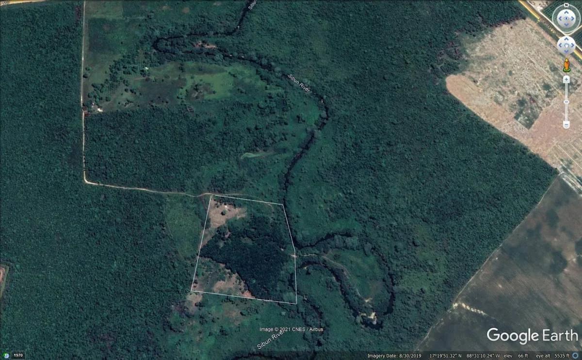 28.5 Acres River Front fully cultivated farm with Mahogany and mixed fruit trees. - Photo 5