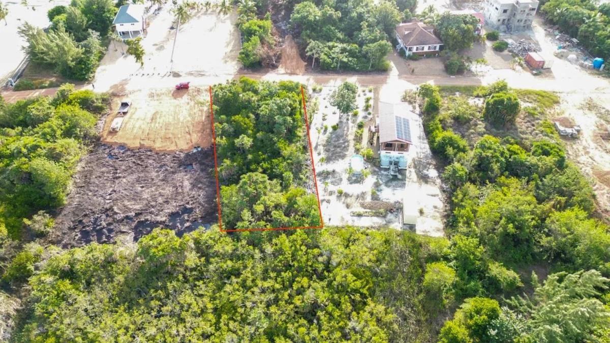 Prime Ocean View Lot - Photo 6