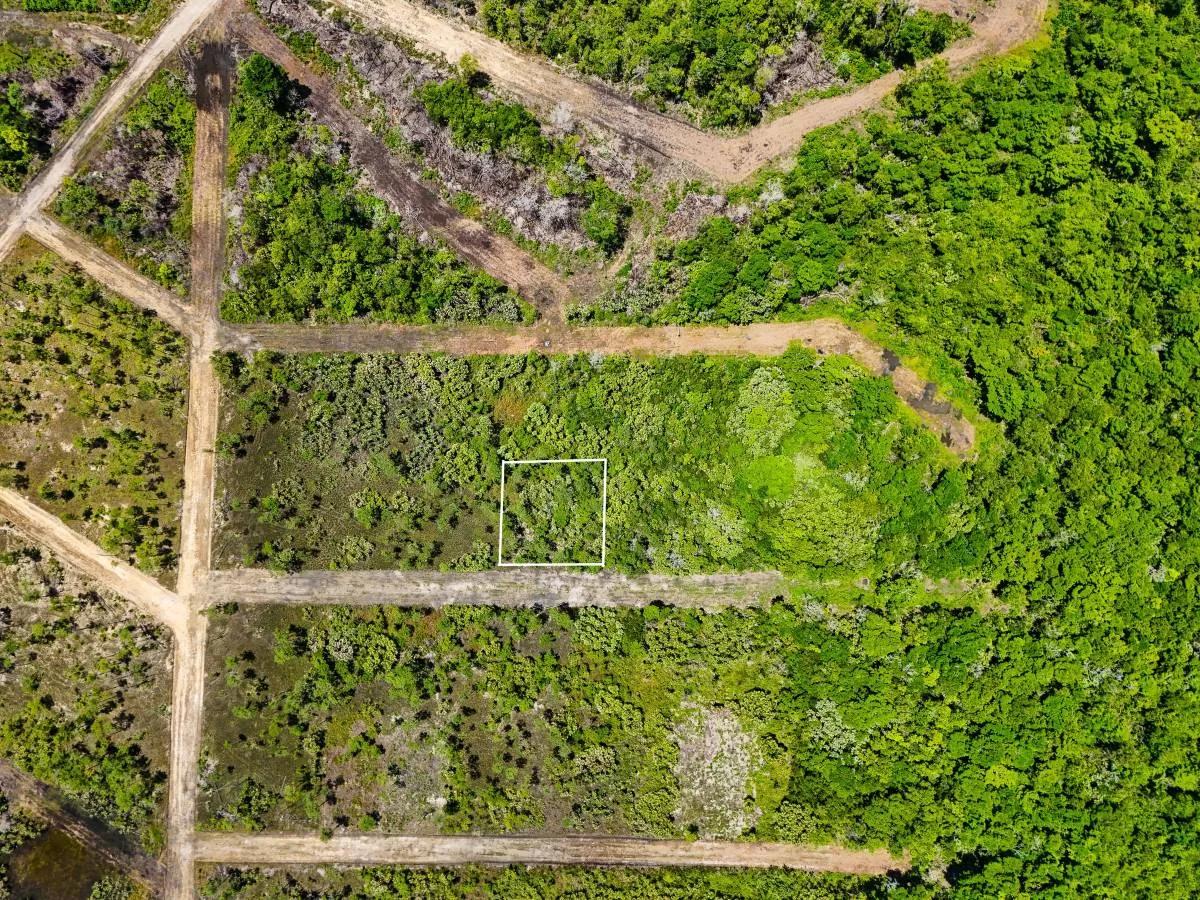 Residential Lot in Silk Grass Village - Photo 3