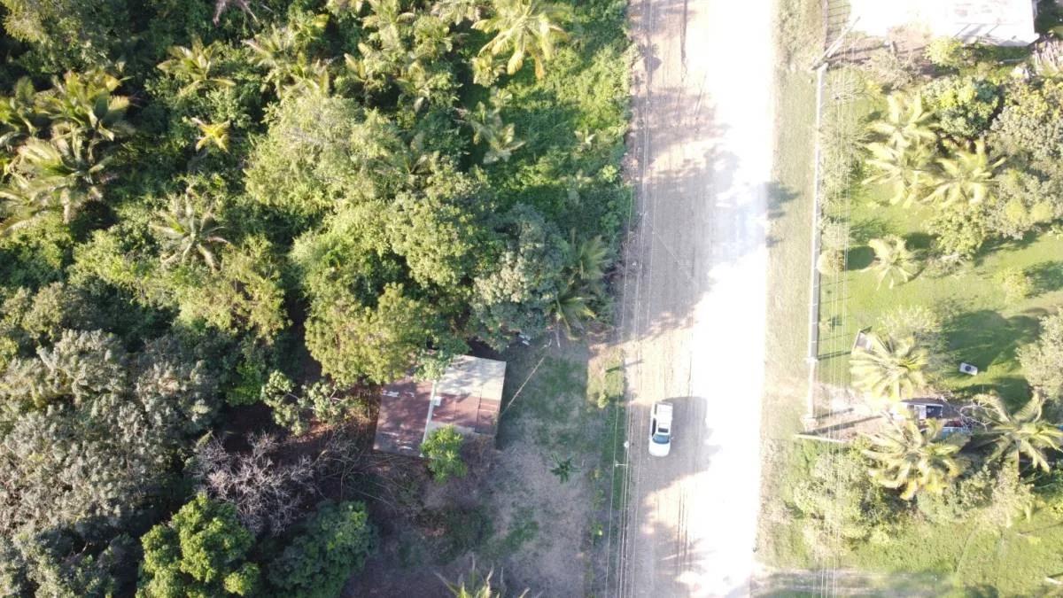 Amazing 1 acre property in Eldrigeville FOR SALE! - Photo 8
