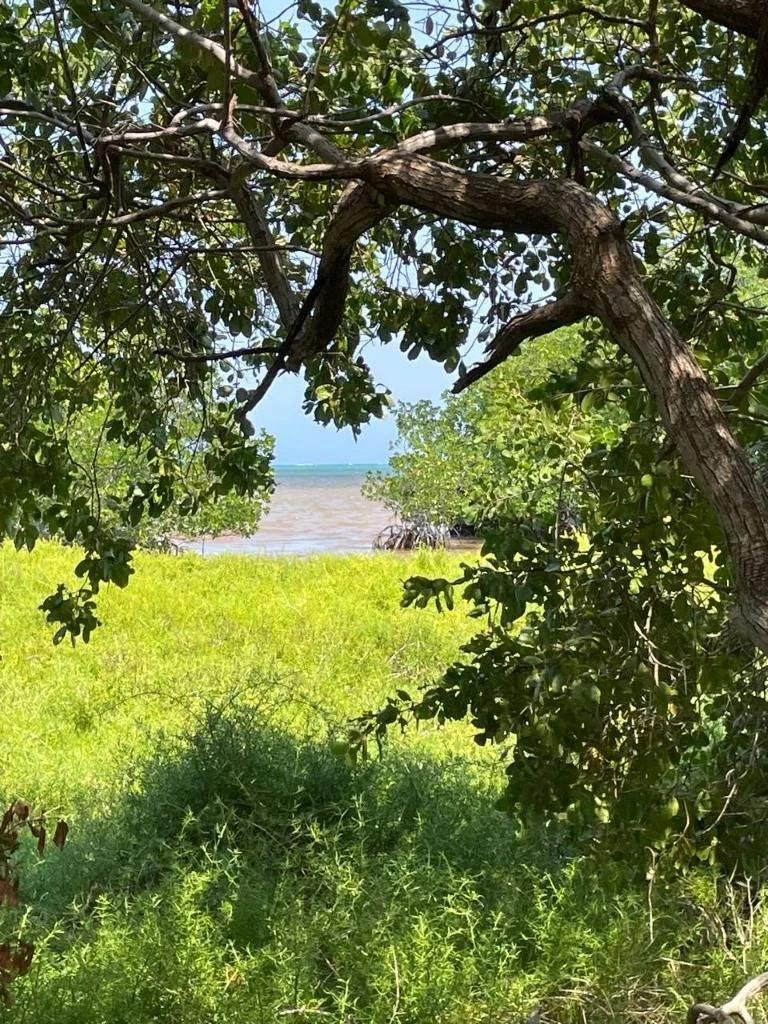 Rare Double Waterfront Lot Opportunity – North Island, Caye Caulker - Photo 3