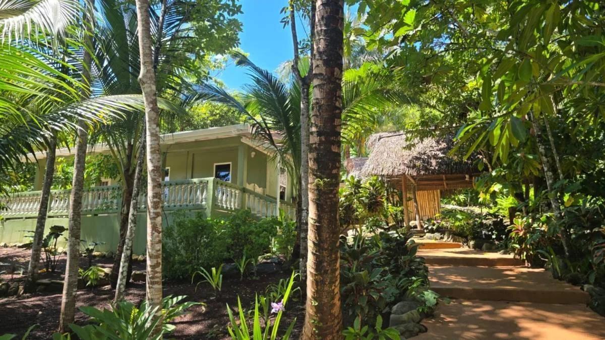 REDUCED! REDUCED! 12.853 Acres of Tropical Retreat Surrounded by Nature - Photo 3