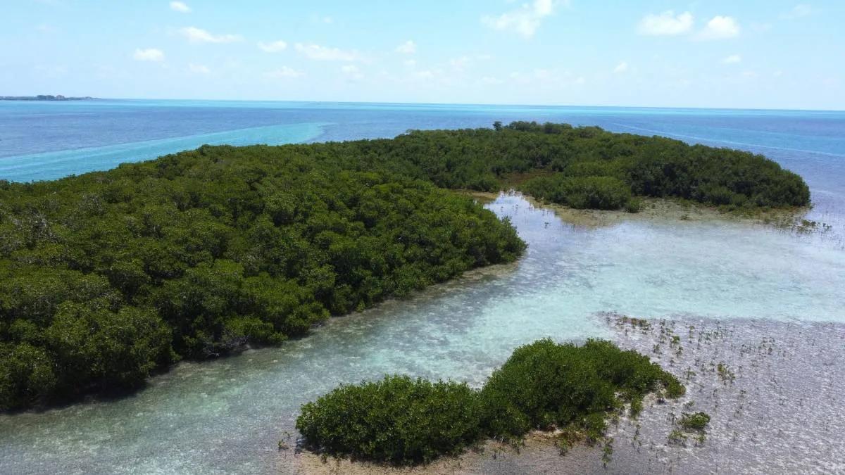 5 acre Private Island Near Ambergris Caye - Photo 2
