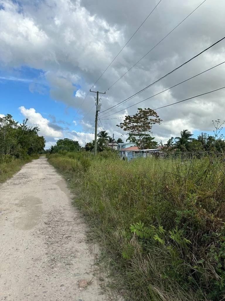 Affordable lots Burrel Boom in Castleton Area . - Photo 7