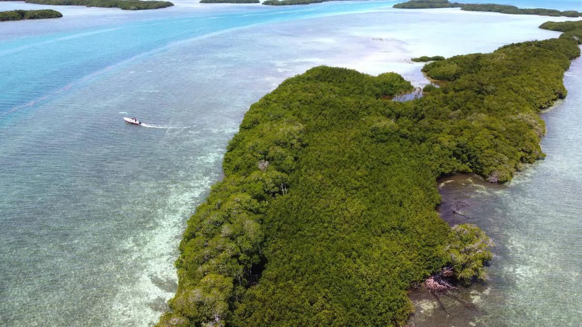 5 acre Private Island Near Ambergris Caye - Photo 6