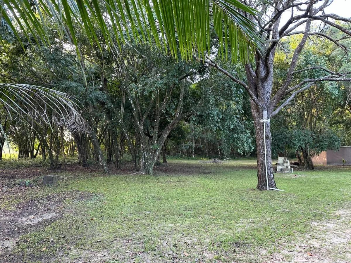 Pack your bags!! 4 Acres with fully furnished home ready to move in!! - Photo 8