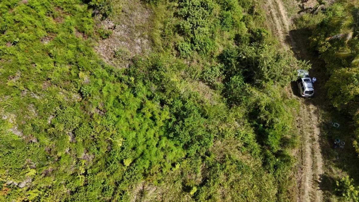 Belmopan Real Estate Opportunity: 1.16 Acres in Prime Location - Photo 3