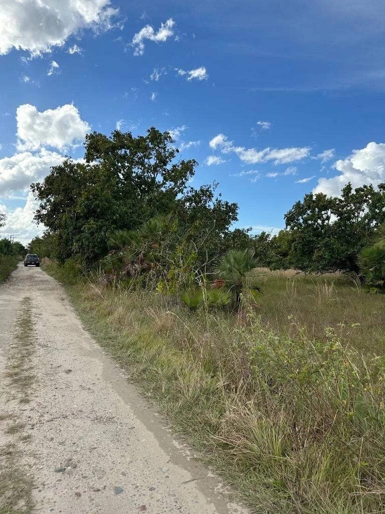 Affordable lots Burrel Boom in Castleton Area . - Photo 4