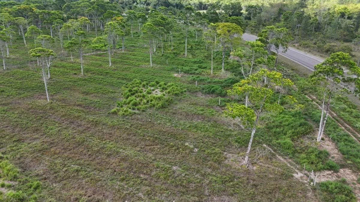 383 Acres of Agricultural & Investment Potential – Bladen, Belize - Photo 8
