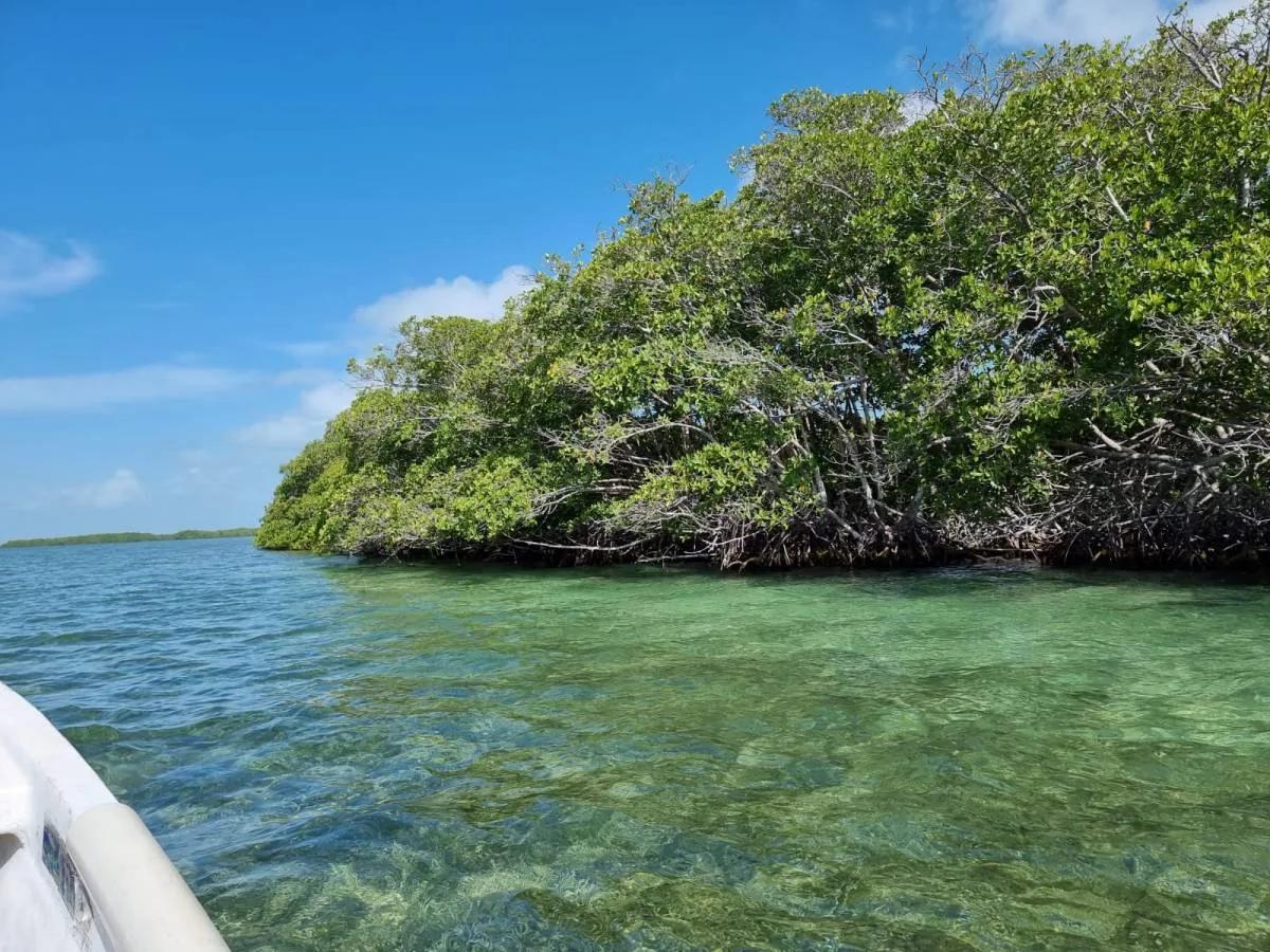 5 acre Private Island Near Ambergris Caye - Photo 4
