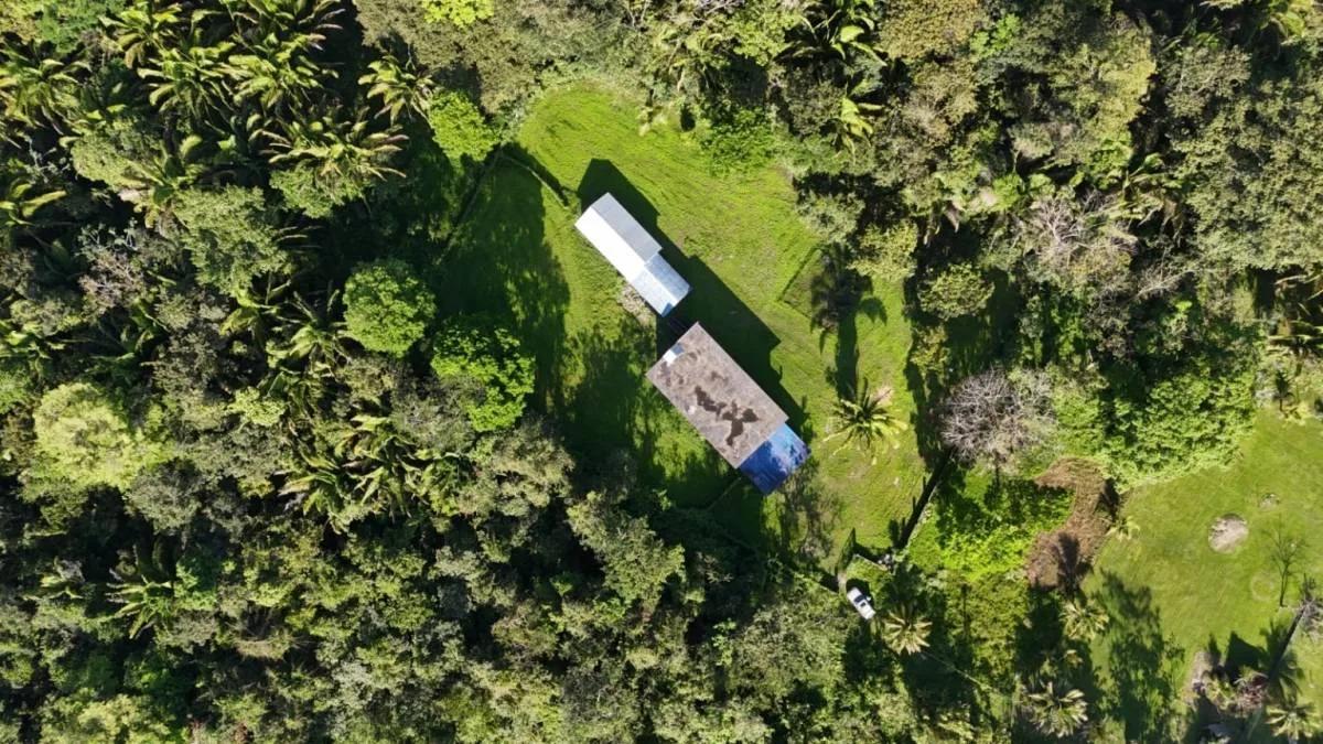Tropical 3.93-Acre Property with Home Near Punta Gorda Town - Photo 2