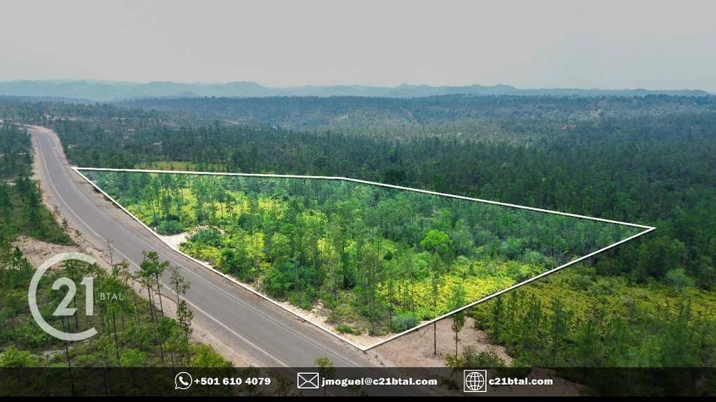 Serene and Expansive 9.78 Acres on Caracol Road, Just Minutes from Big Rock Waterfall! - Photo 3