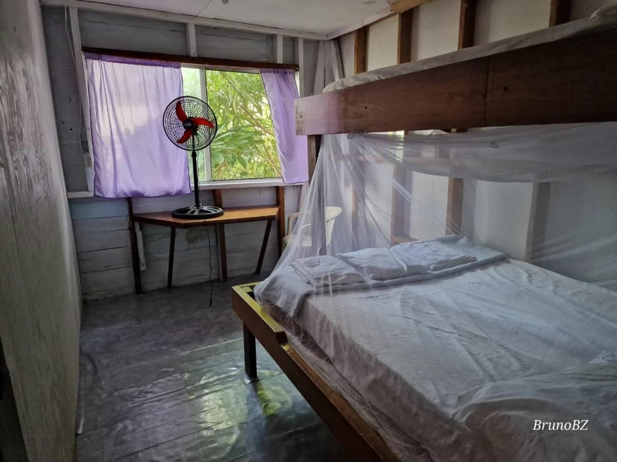 Thinking of investing in a Guesthouse in Toledo? - Photo 6