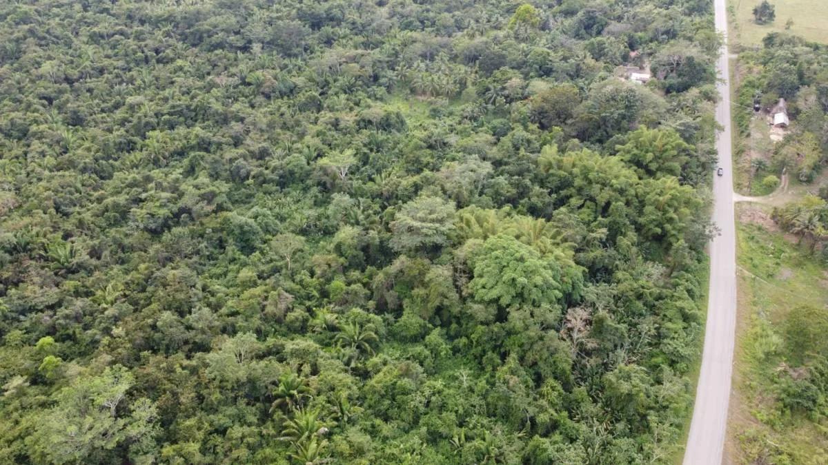 Superb investment opportunity, 40 acres newly listed! - Photo 4