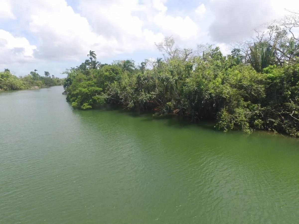 Pristine River Front Plots - Photo 4
