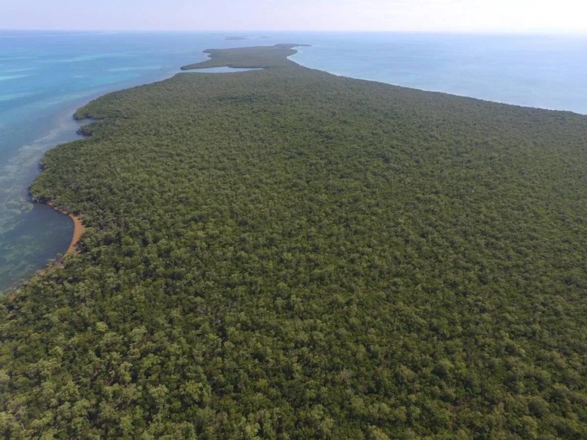 5 acre Island Paradise Middle Long Caye - Photo 3
