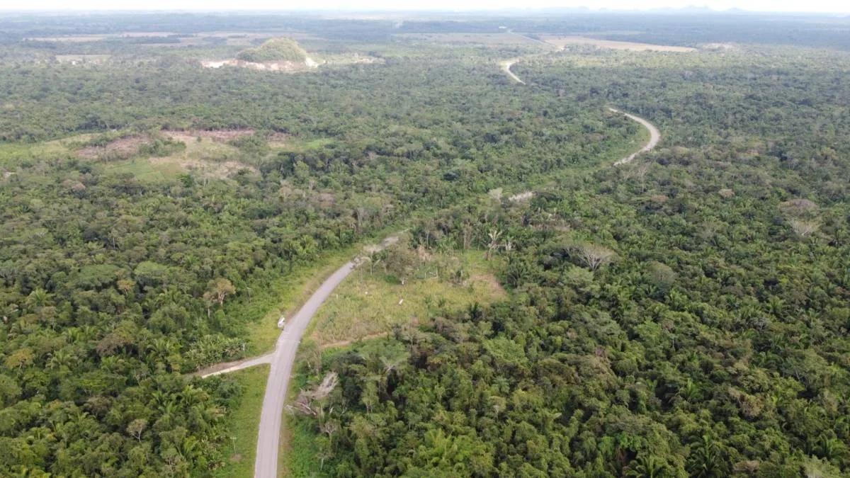 Gorgeous 93 acres, prime location in Crique Troso/Mafredi FOR SALE! - Photo 6