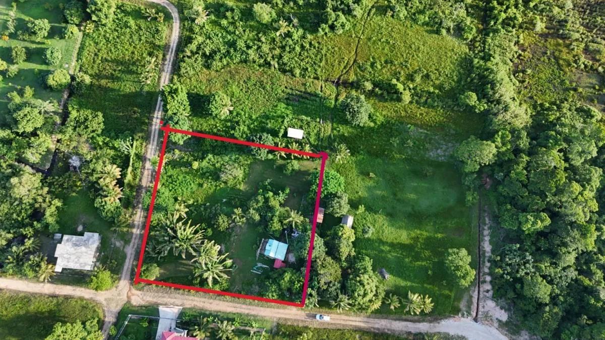 Searching for 1 acre farm near Joe Taylor Creek and Caribbean Sea (Toledo)? - Photo 2