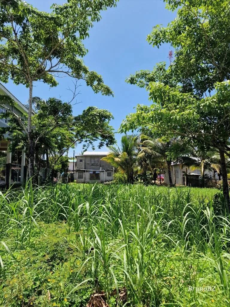 Affordable House Lot for Sale in Punta Gorda Town - Photo 6