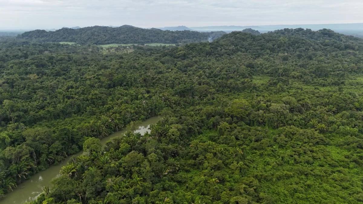 An Exceptional Investment Opportunity in Southern Belize! - Photo 8
