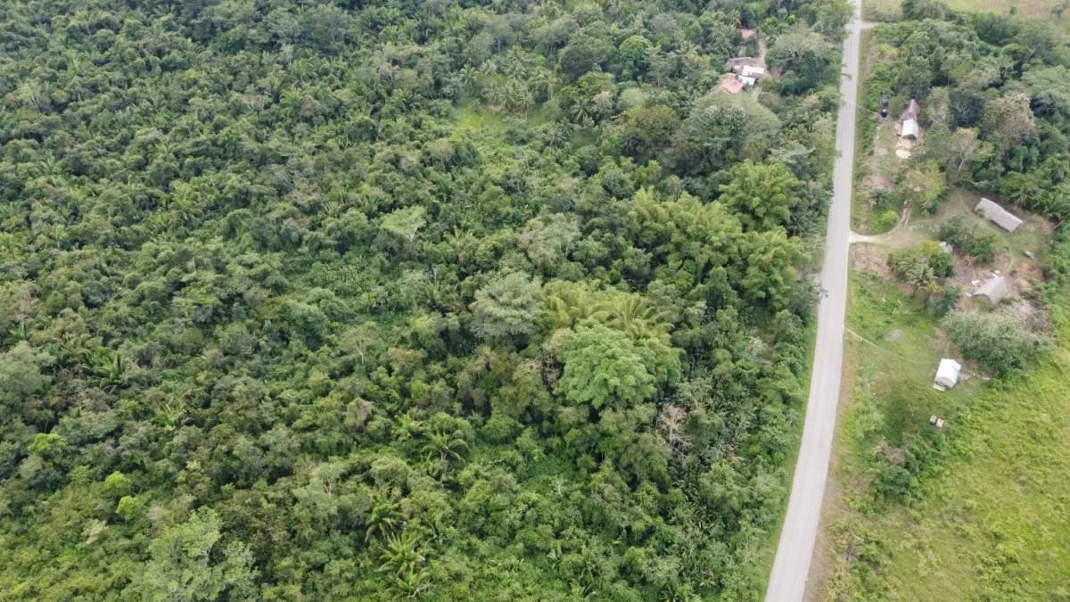 Gorgeous 93 acres, prime location in Crique Troso/Mafredi FOR SALE! - Photo 4