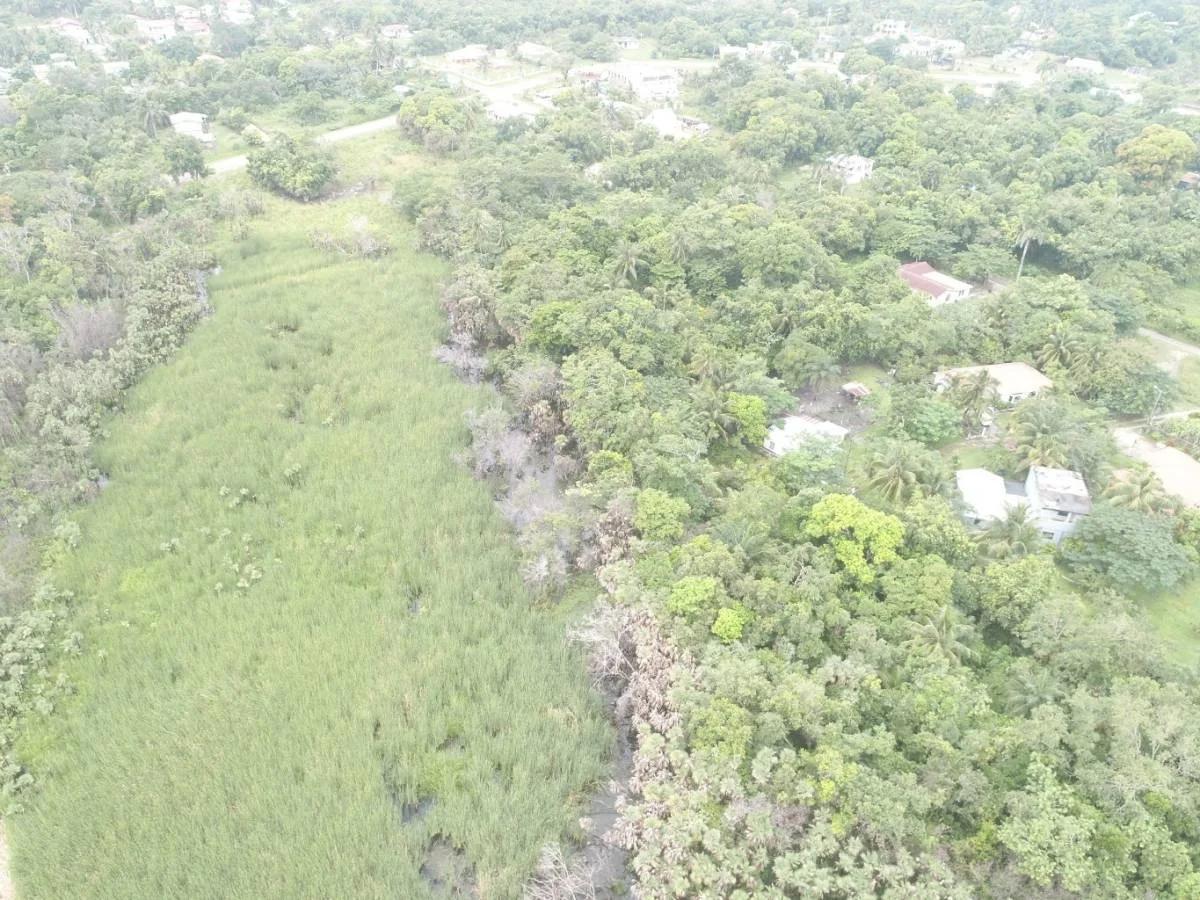 4.65 Acres close to Boom Hattieville Cutoff Road - Photo 5