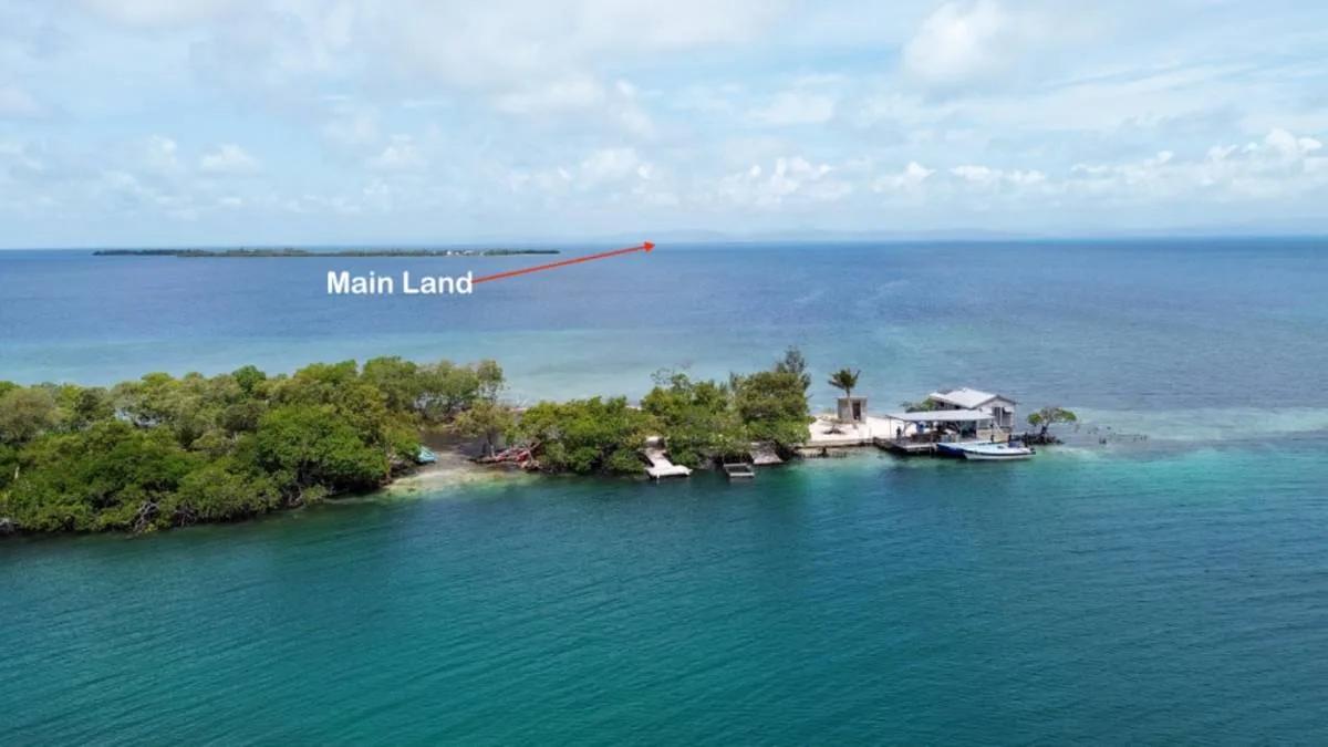Two Exquisite Parcels on Saddle Caye - Photo 3