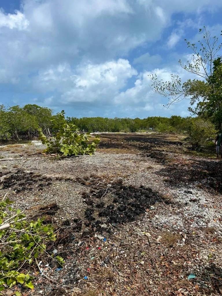 Investment Island Property | 1.515 Acres – Bodden Caye, Belize - Photo 3