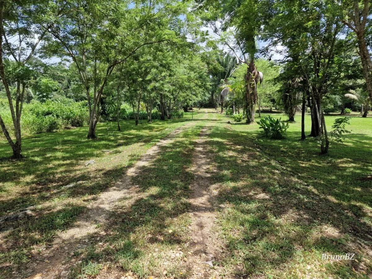 Now is the time to make your off-grid jungle living dreams come true. - Photo 5