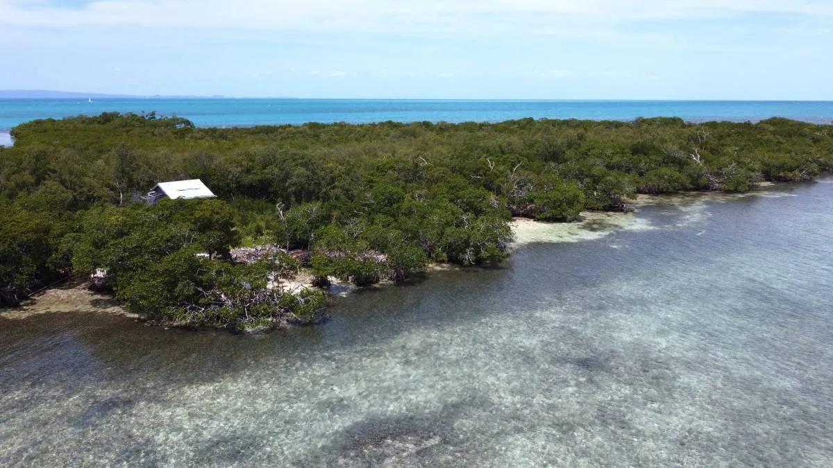 Secluded Private Island – Sand Fly Caye - Photo 6