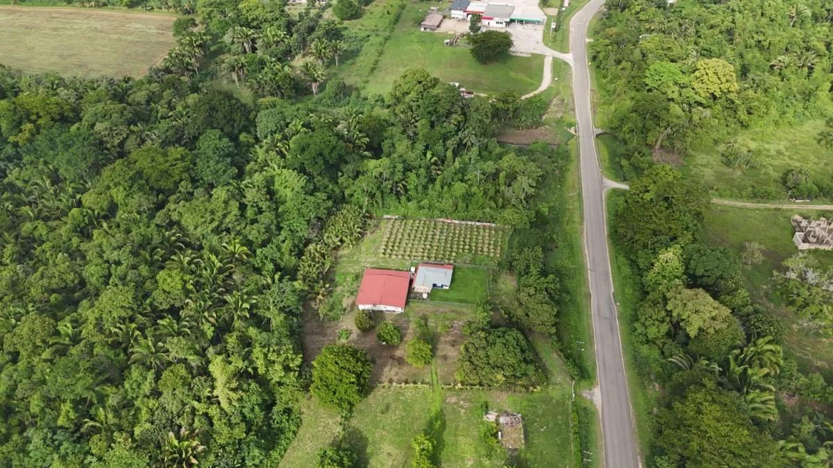 Rare Investment Opportunity Motel and Development Land (251 acres) in Southern Belize - Photo 8