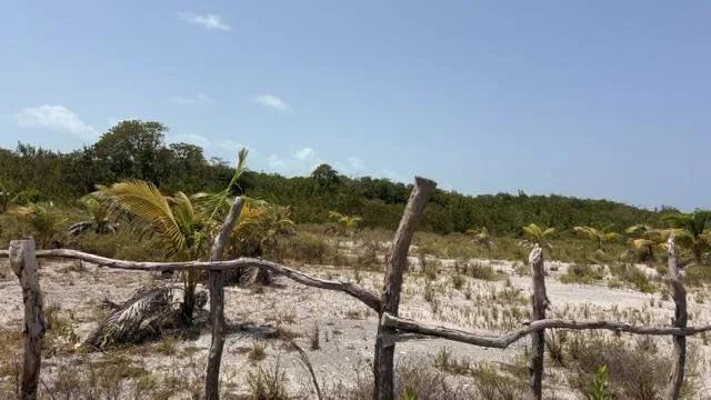 ONE LOT LEFT-Cleared High Lots- -North Island, Caye Caulker - Photo 7