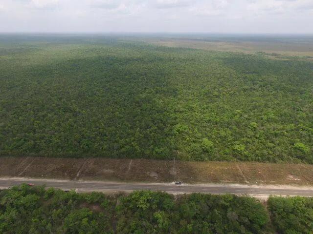 Large Untouched Acreage - Photo 4