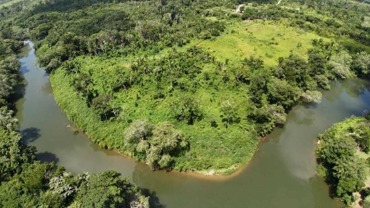 Riverfront Acreage - Teakettle Village, Cayo District - Photo 2