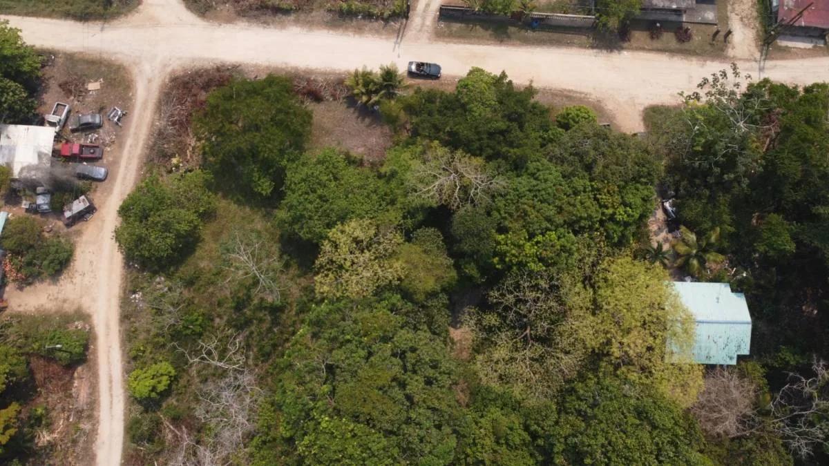 Unique opportunity to own prime land near the Caribbean Sea in Toledo - Photo 2