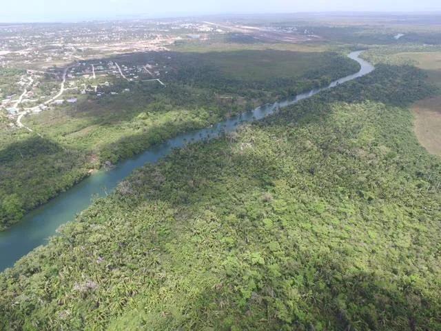 Pristine River Front Plots