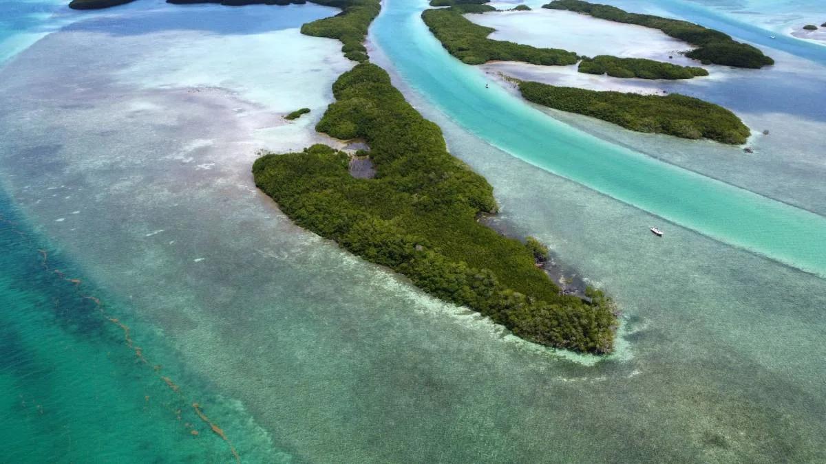 5 acre Private Island Near Ambergris Caye