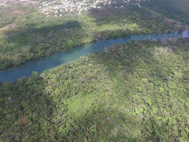 Pristine River Front Plots - Photo 6