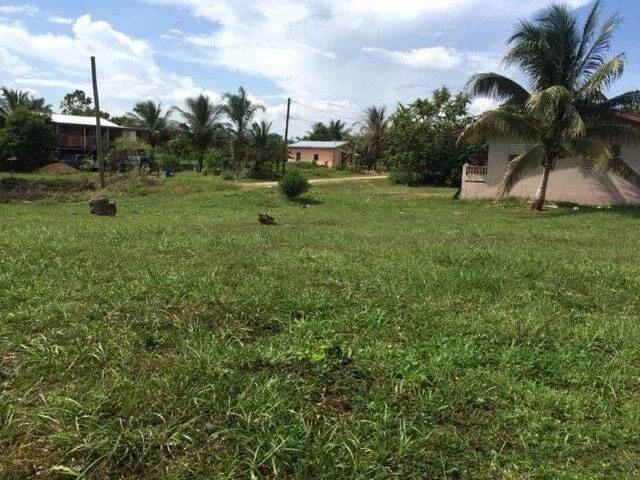 Commercial Parcel in Nation’s Capital of Belmopan - Photo 6
