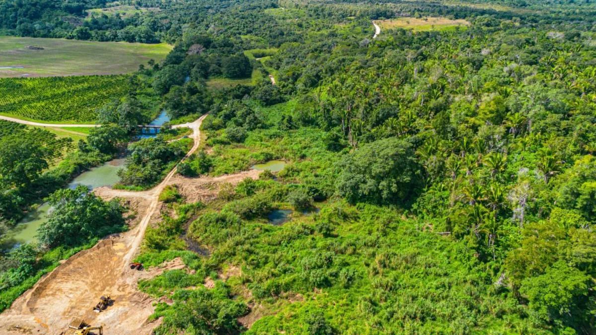 Tea Kettle Village | 230-Acre Riverfront Investment Estate in Belize - Photo 2