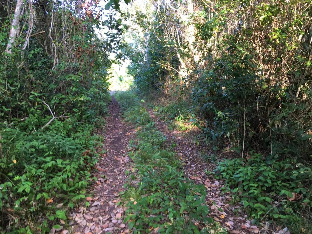 Honey Camp Lagoon - Photo 3