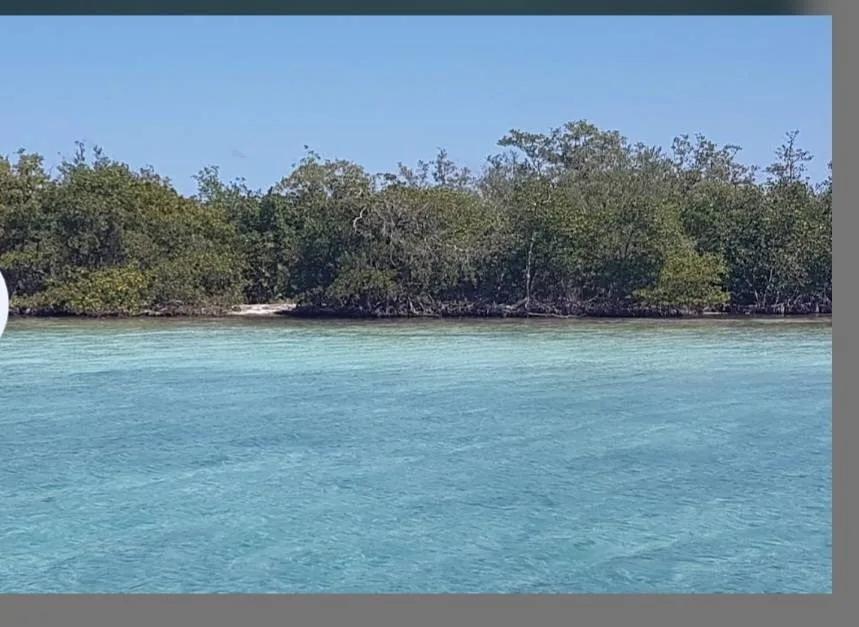5 acre Island Paradise Middle Long Caye - Photo 5