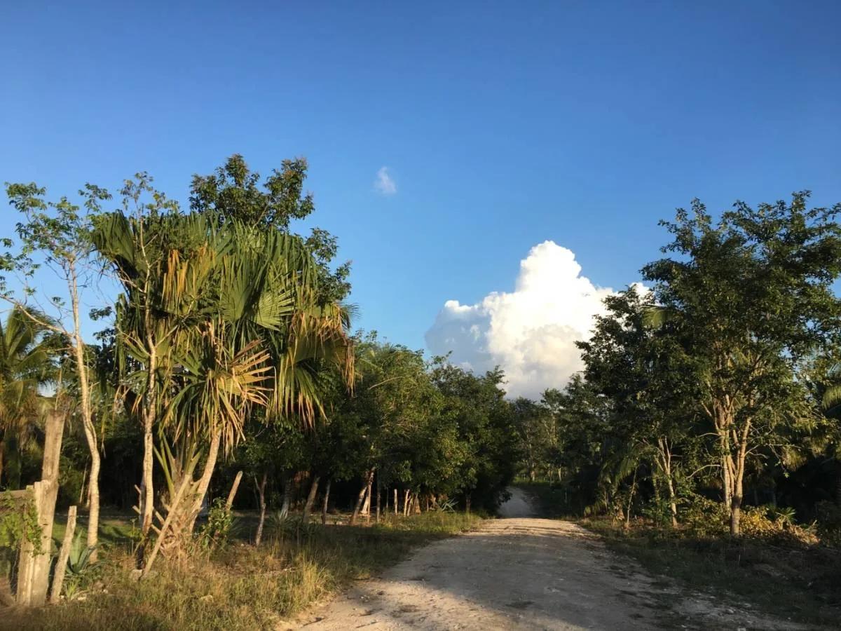 Honey Camp Lagoon - Photo 4